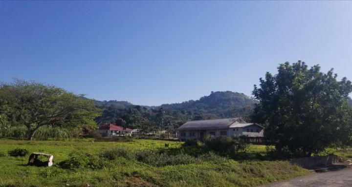 NITAFROMTROUTHALL
