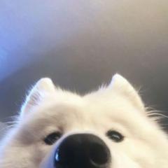 Eli K