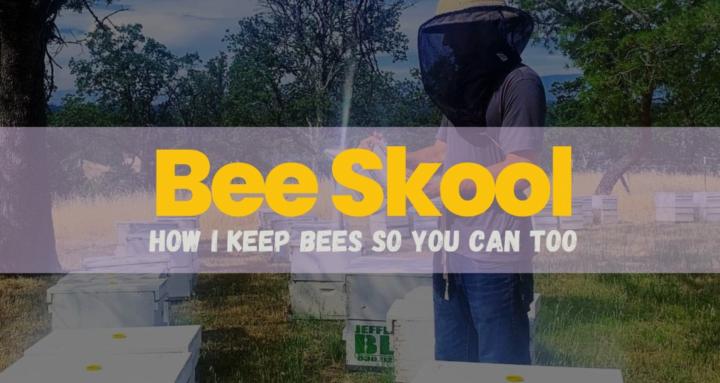 Bee Skool