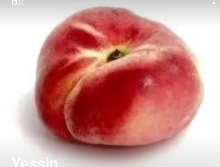 Yessin Nouri