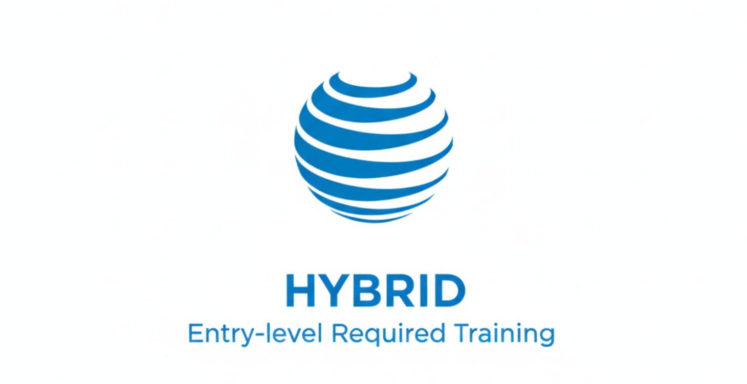 Sales - Wireless Hybrid Team