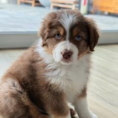 Tereza Sedláčková