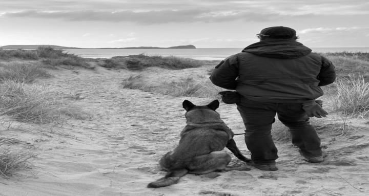 CutBack Canine