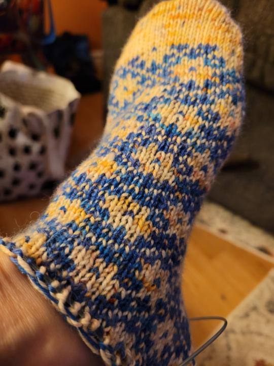 Auseklis sock