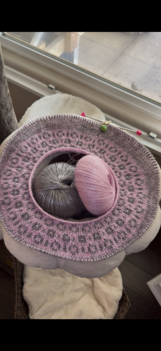 Clue 1 & Last Minute Yarn Pivot