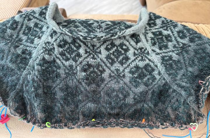 Elza progress