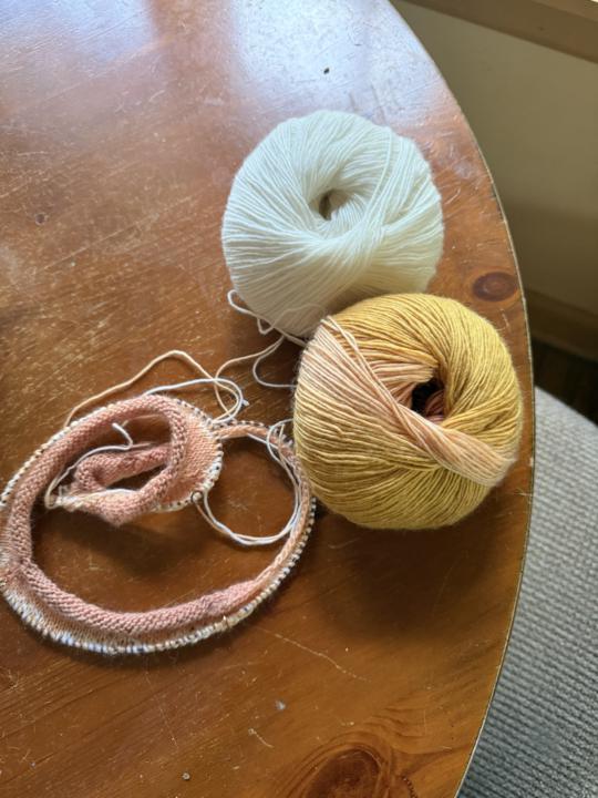 Starting the Elza Sweater
