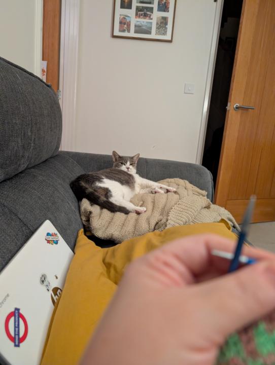 Well into the second sleeve...