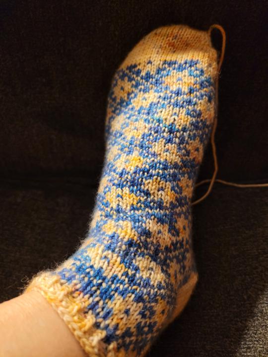 Auseklis sock