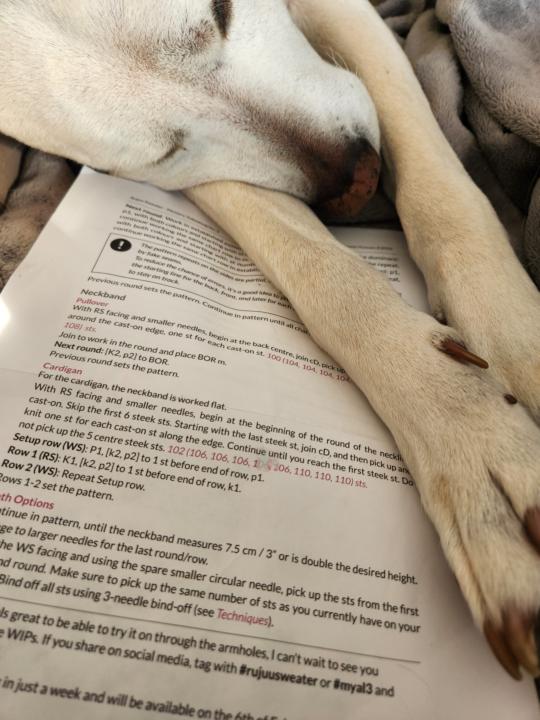 Is this why I am behind?