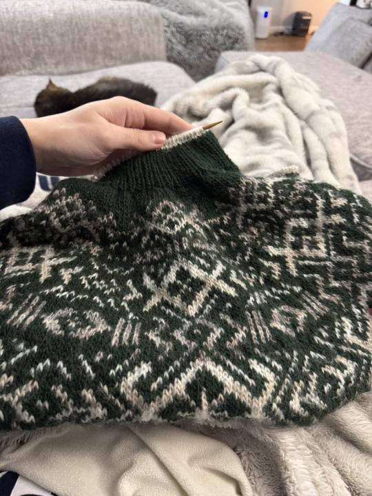 Current WIP - Metenis Pullover