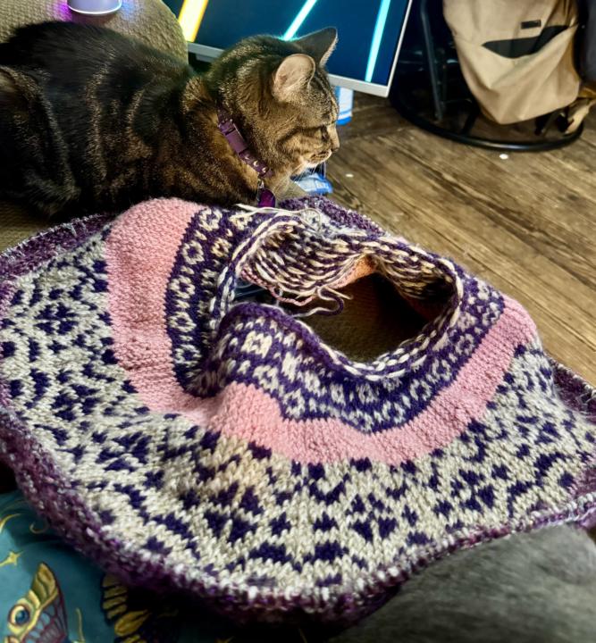 My Clue 2 completion