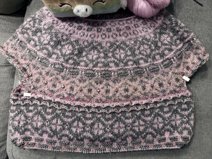 Clue 4: Lost Plot and Wild Adventures 