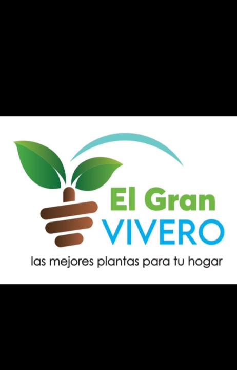 Maestro importador Castillo Timaná