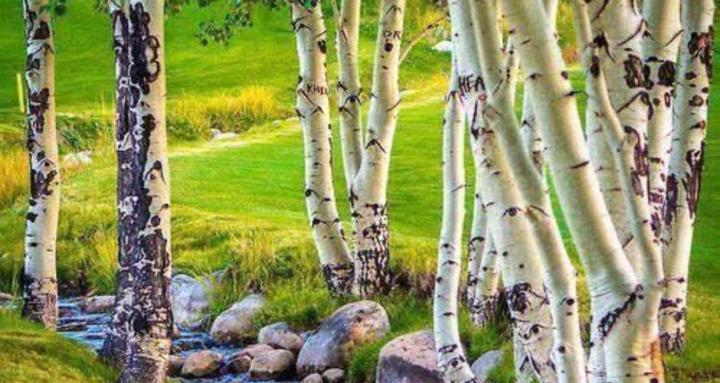 Christian Women In  The Garden