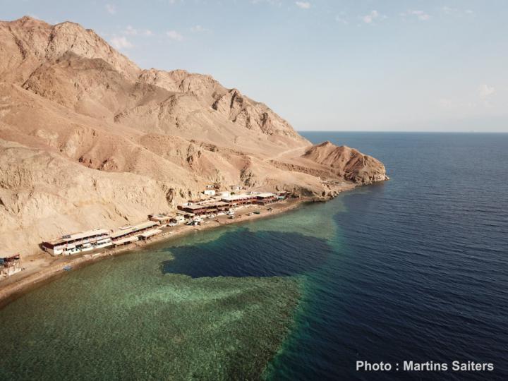 🌊 Big FreedivingX Announcement! LIVE v2 + GO DEEP in Dahab! 🌊