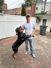 Abrorbek Mamadmurodov