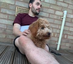 Luke Whiston