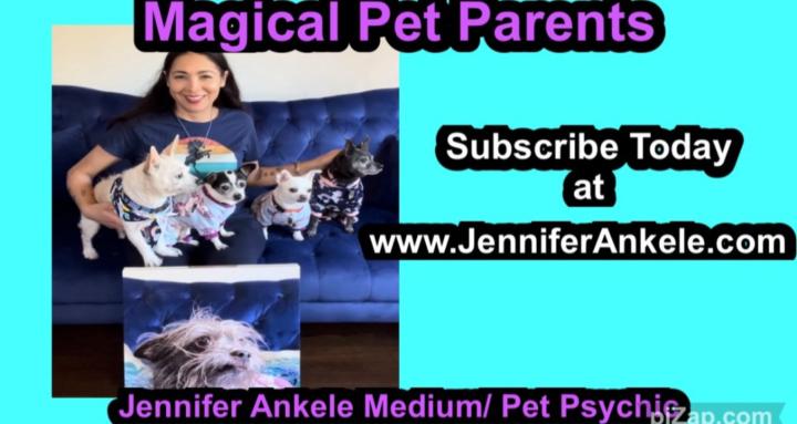 Magical Pet Parents