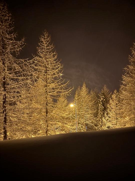 Vanessa Bergny Martins