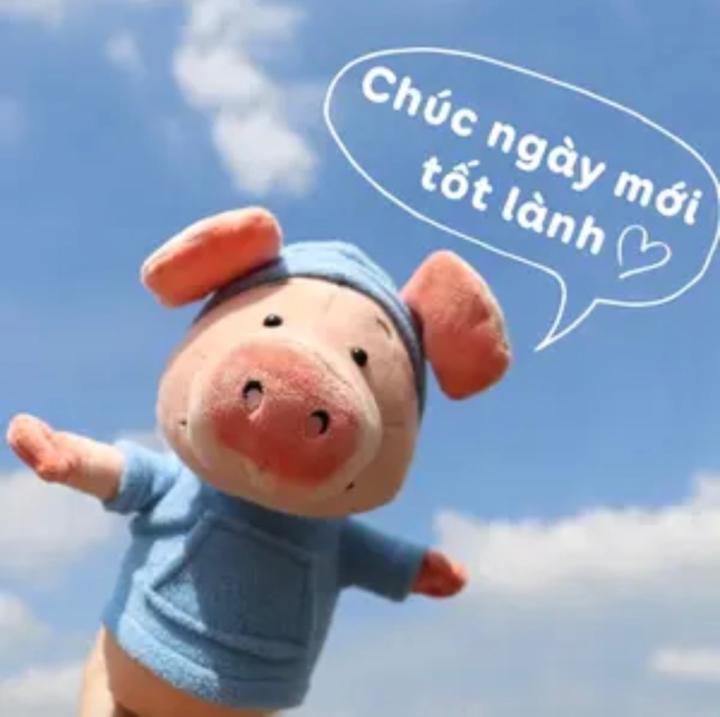 Linh Mai Thị Thuỳ