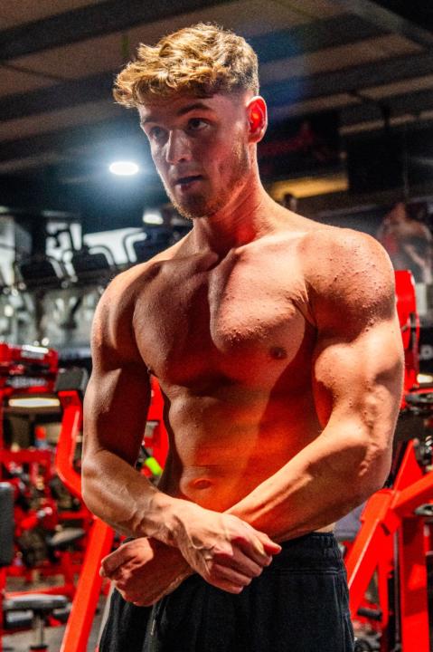 Will Taylor