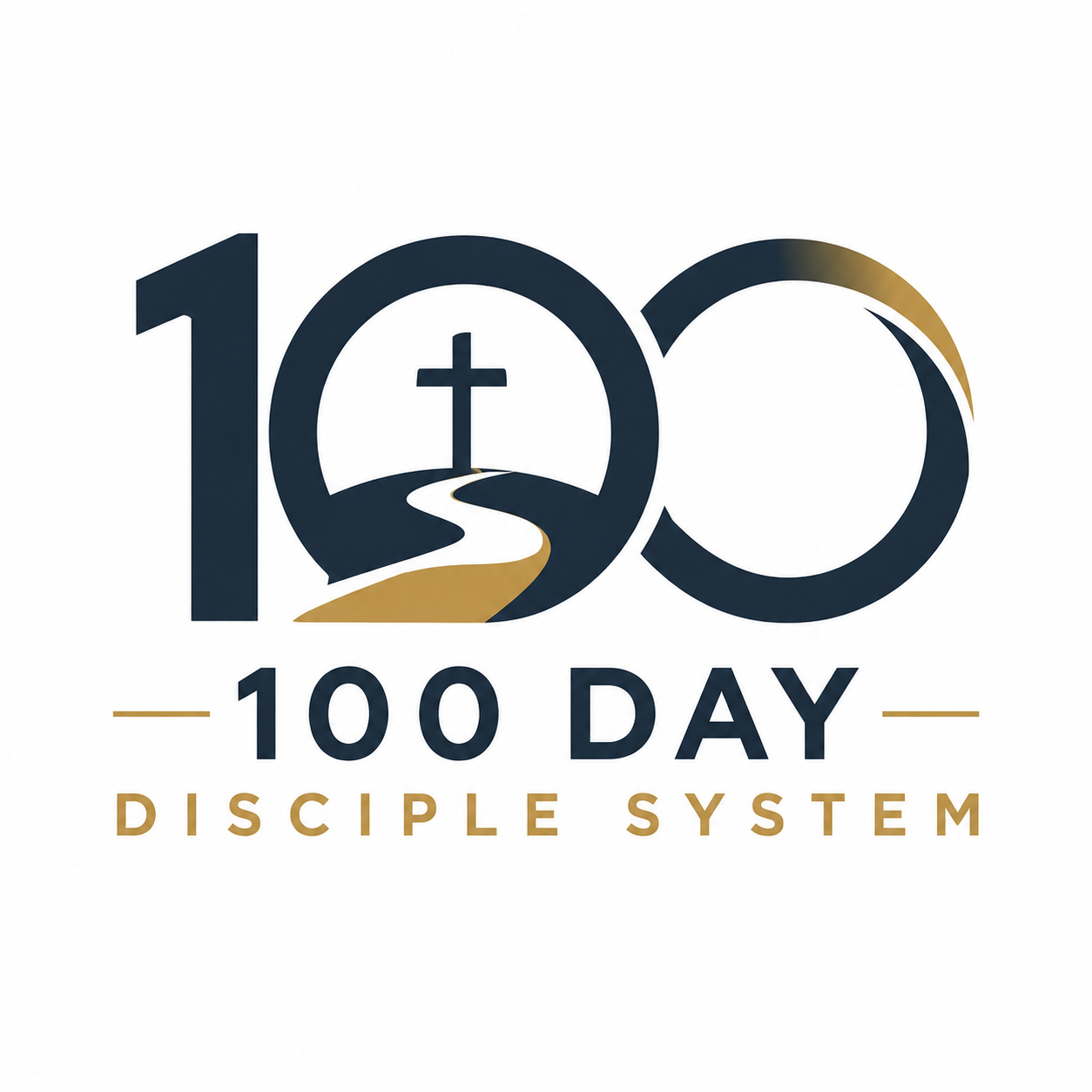 100 Day Discipline System
