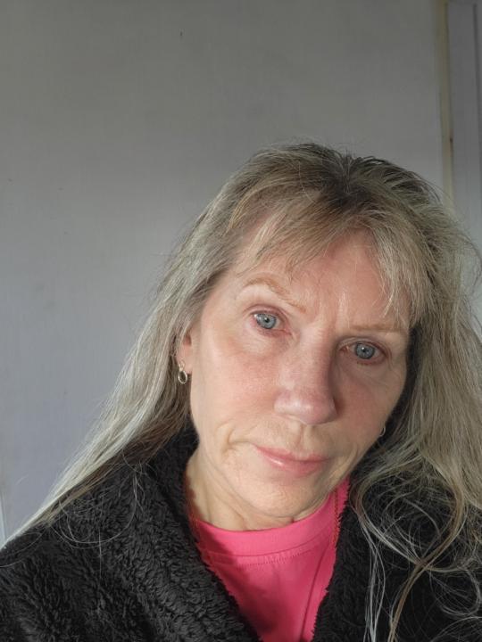Sue Pinheiro