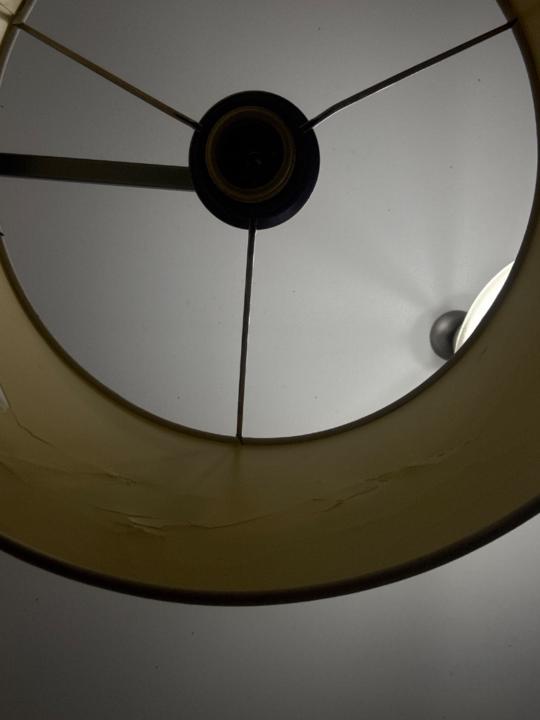 Daniel Adikibe