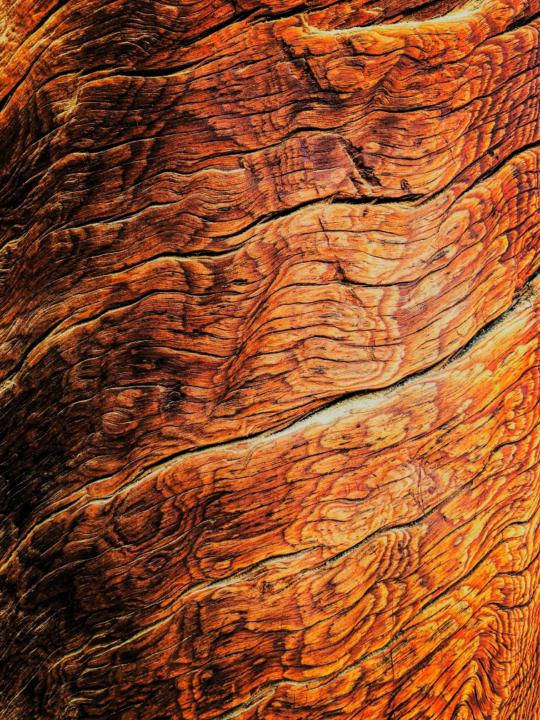 Mozart Jean de Prado Imfura nsanzimana