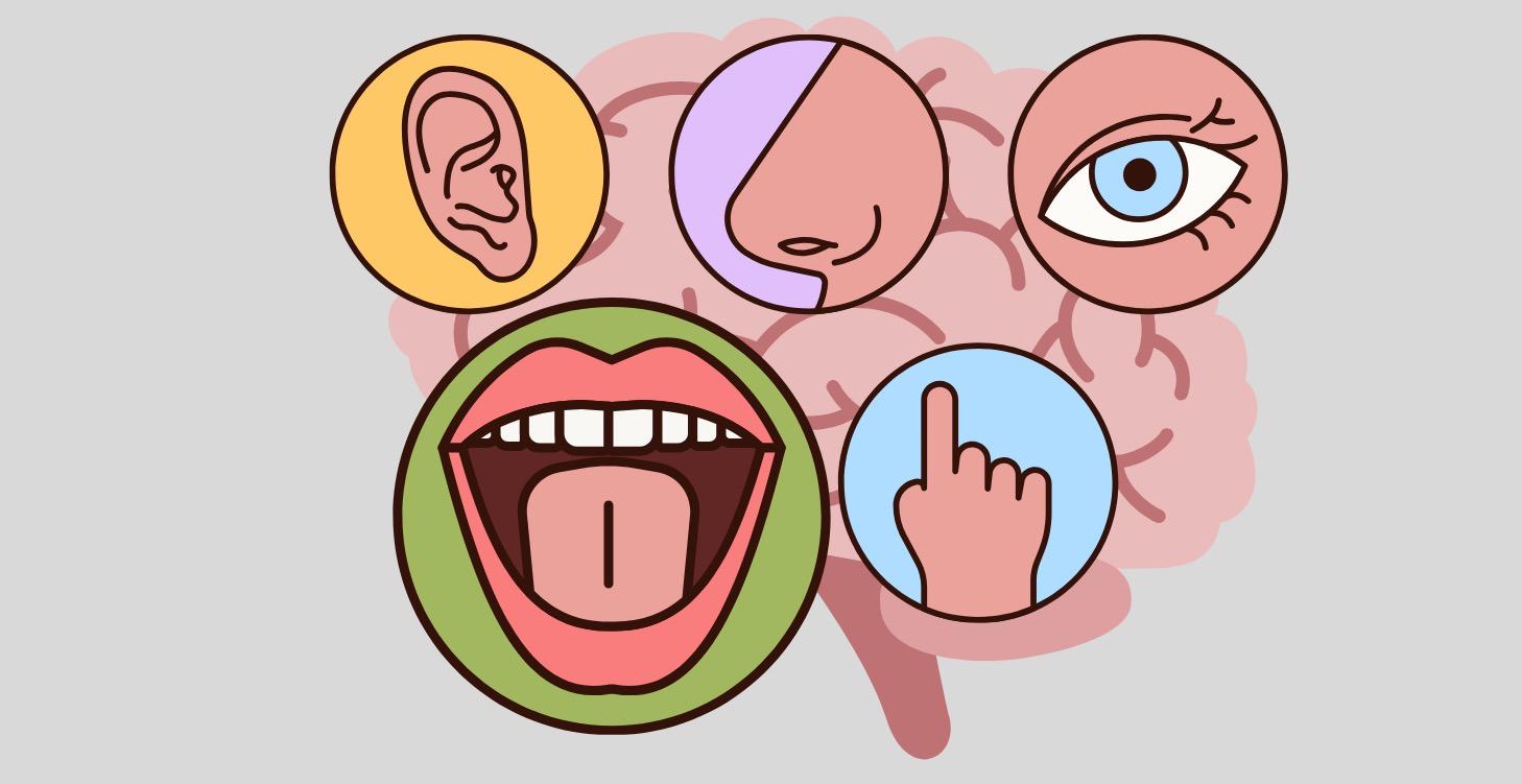Oral Sensory Processing