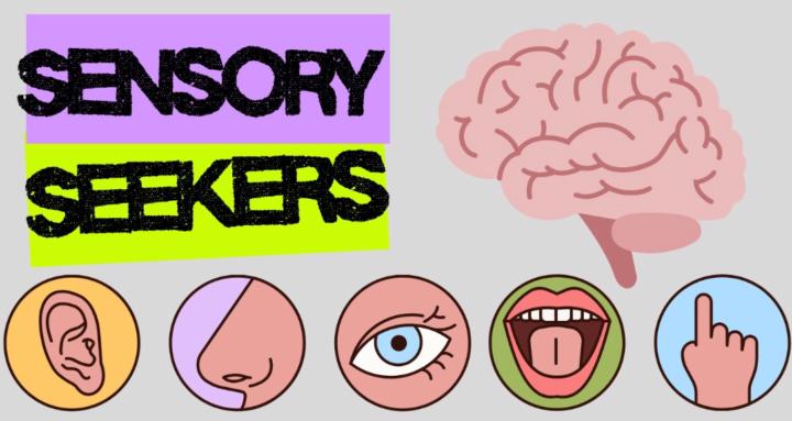 Sensory Seeking Kids