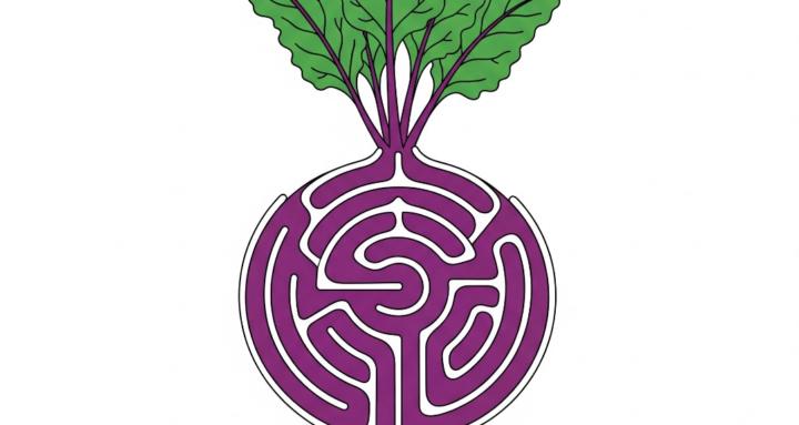 BeetsByBo