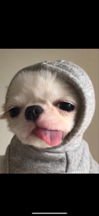 Manuela Rodríguez Acevedo