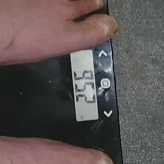 Weigh day