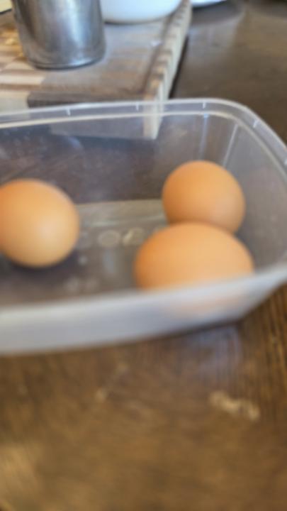 High protein breakfast! 