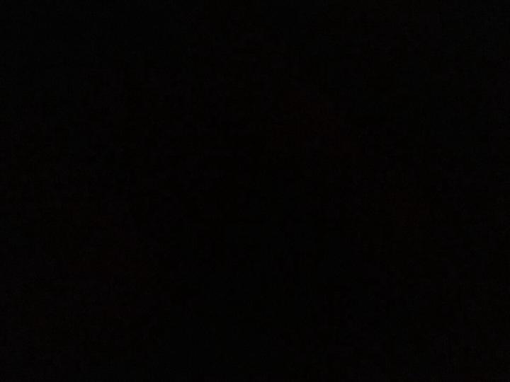 Carlos D