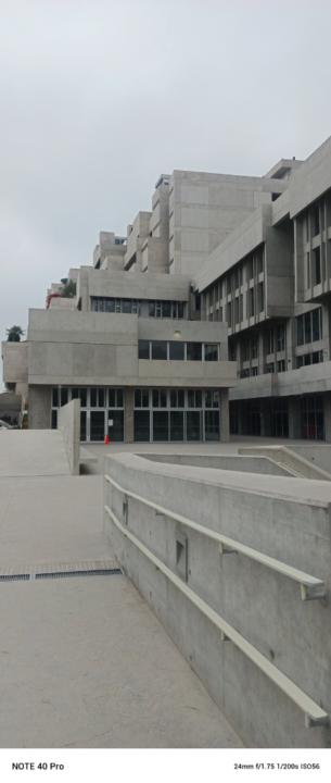 Fiorela Shanthal del Rocio Arizaca Alvarez