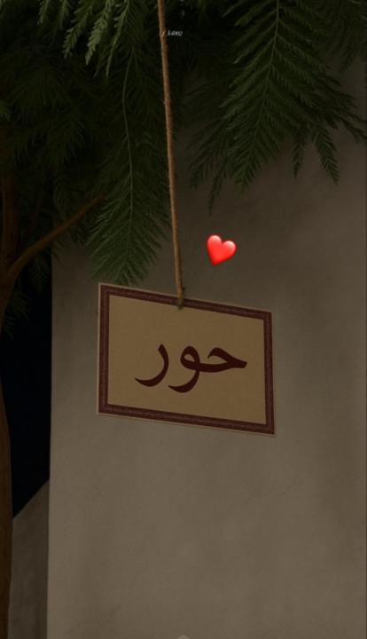 Hawa Ahmed