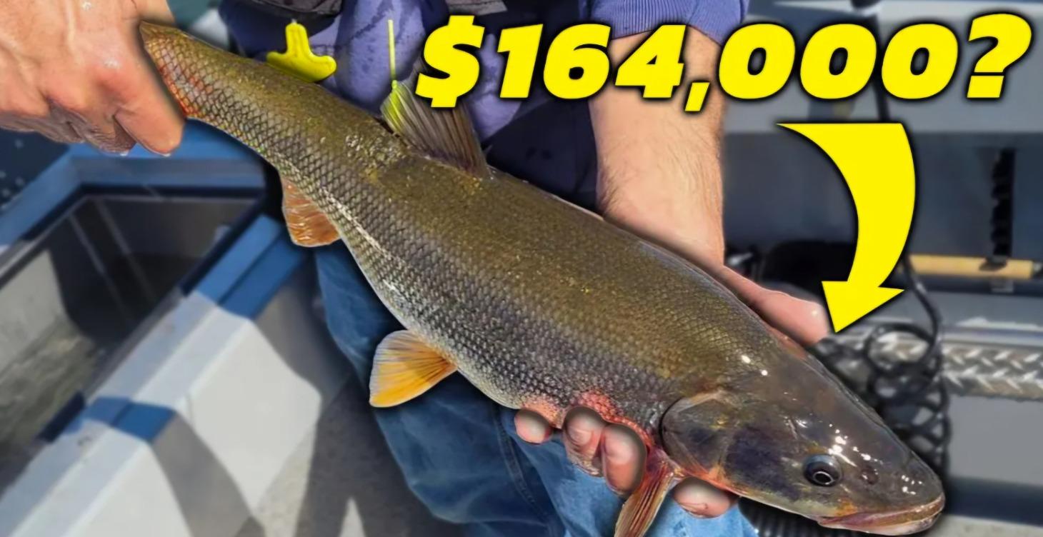 Maps to Top Pikeminnow spots