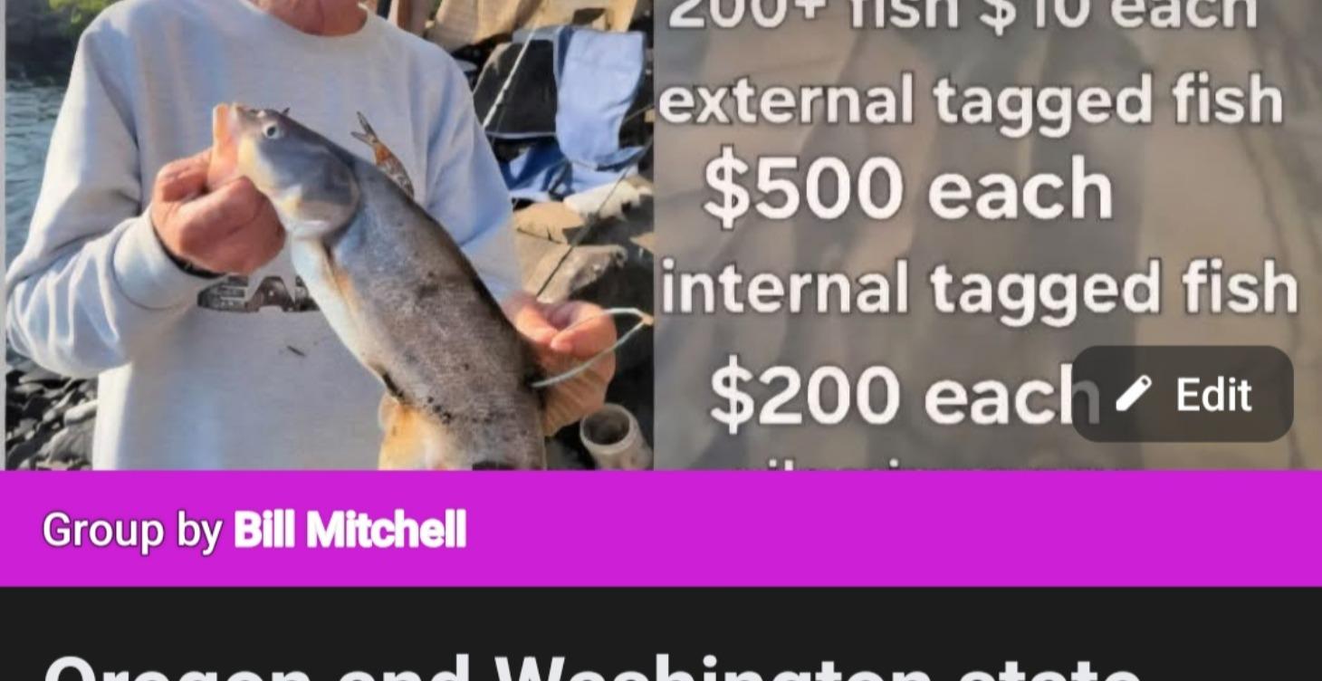 Pikeminnow fishing 101