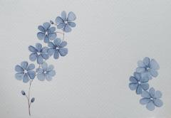 Sandie Bonsor