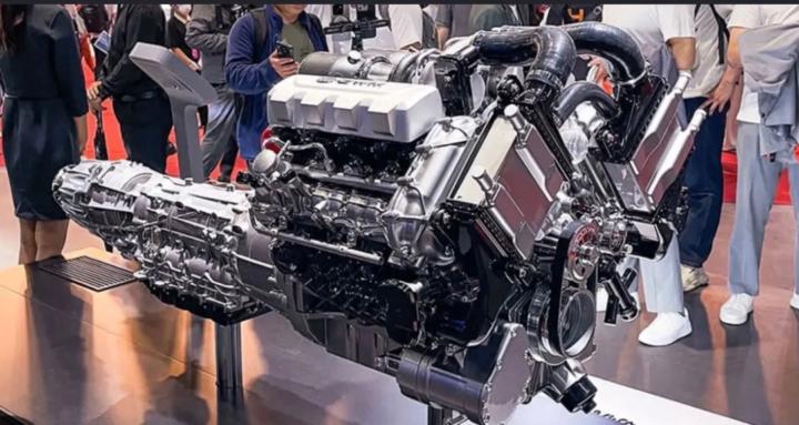 Wolf motors