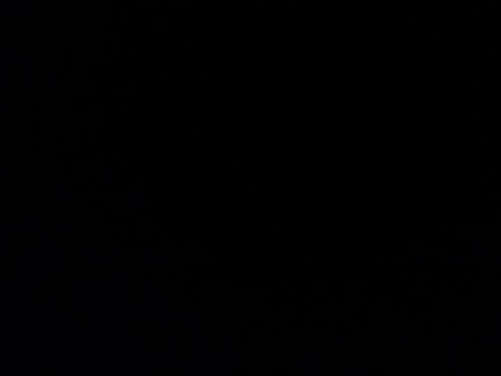 Nicoline Vestergaard