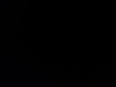 Nicoline Vestergaard