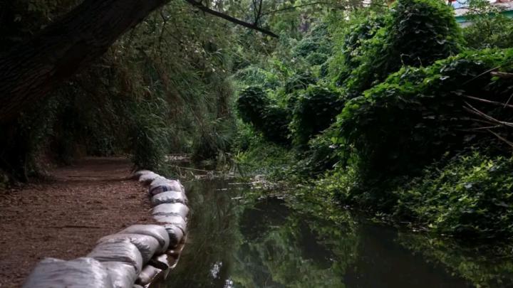 Mohamed Mohamed ez-zouyny