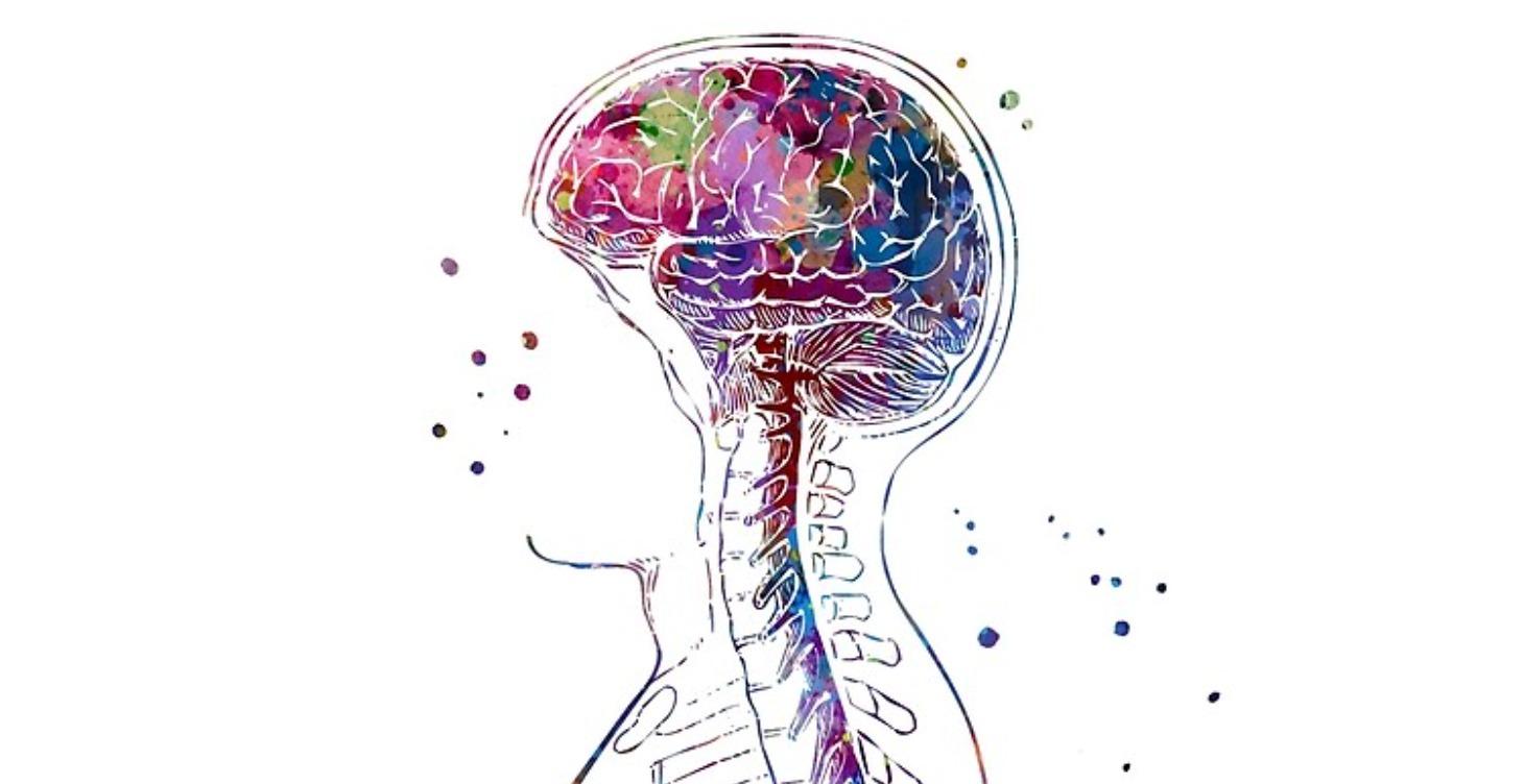Why Your Nervous System Is Running the Show