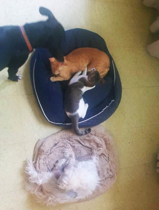 Welcome! Introduce yourself + share a pic of anything