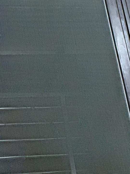 怡茹 陳