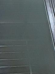 怡茹 陳